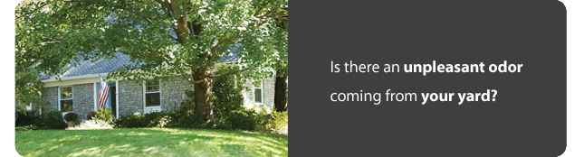 Manhole Rehabilitation